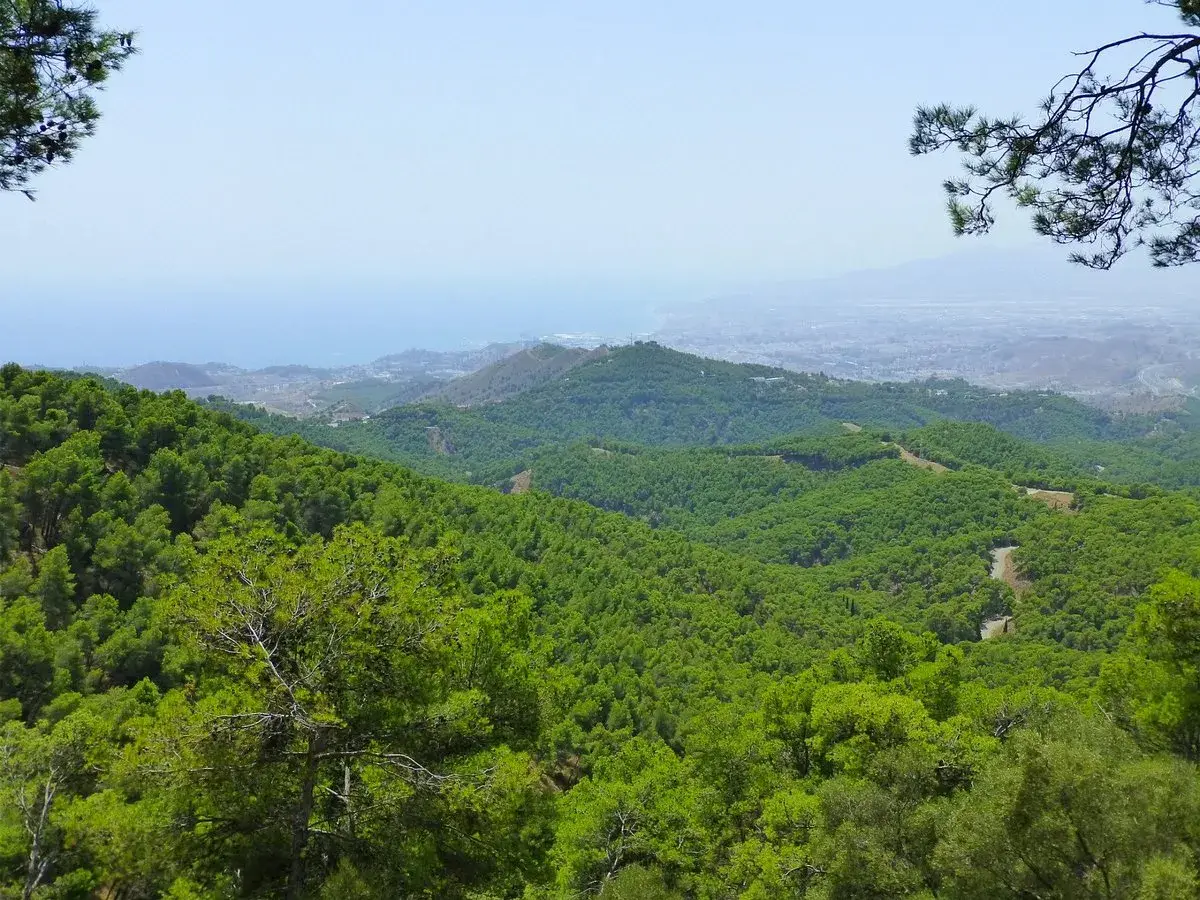 Descubre Los Pérez: Una Joya Escondida en Montes de Málaga